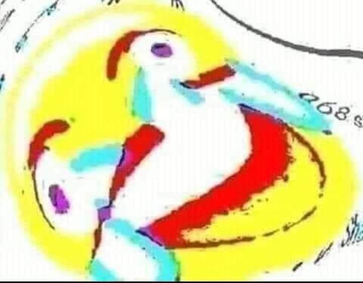432080256-421892730209407-7209147836049801695-n.png