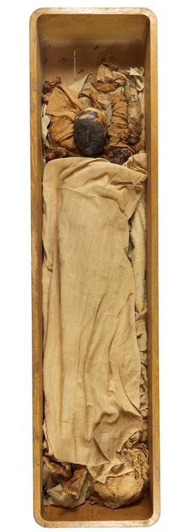 Ленивый Египет (Хургада, Луксор, Каир), декабрь 2025 - январь 2026