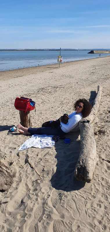 [Image: IMG-20220419-WA0000.jpg]