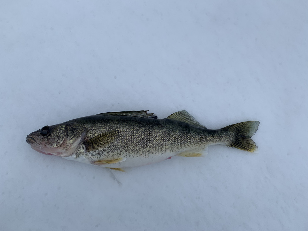 0CC369DF-7DE5-4C49-92FA-6A7A03D56029