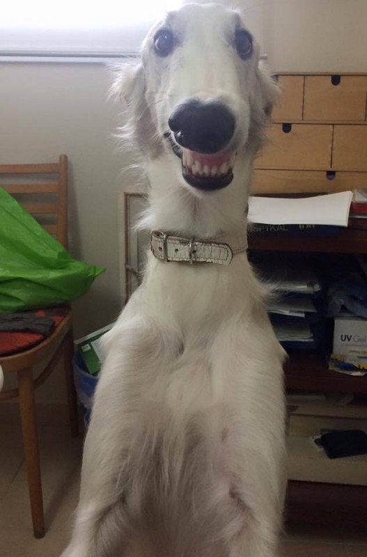 895DD18D-3010-490A-B34F-B882A424ABCB