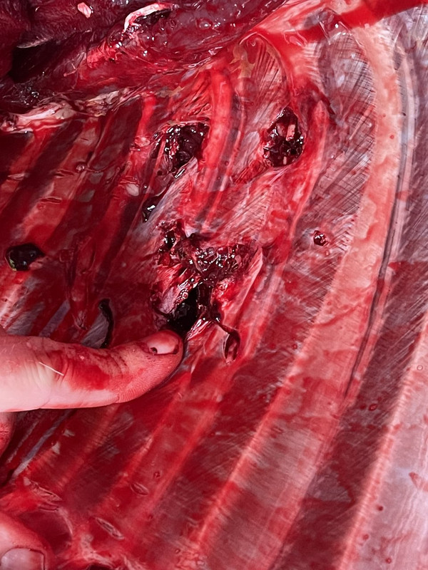 4297736F-AE21-4089-B1D0-8B579913F707