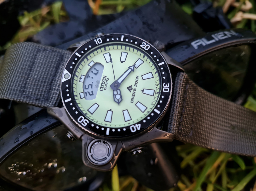 aqualand_jp2007_202010S