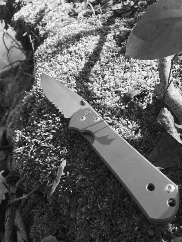 F5F6684D-C957-44B6-9045-E79C082A1518