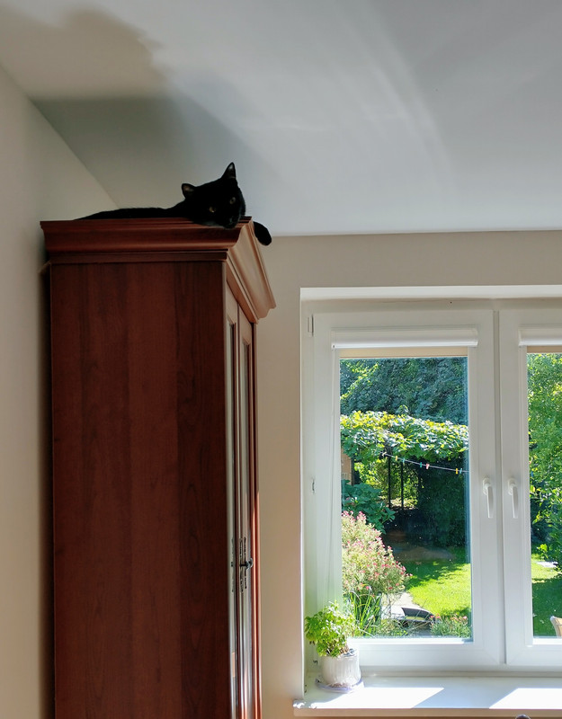 IMG_20250921_122403407_HDR~2