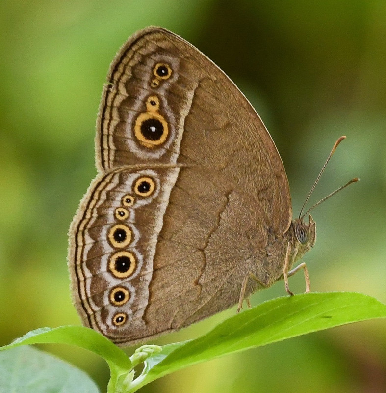 DDB853D7-41D8-4308-A5B7-8B90FB7D8503