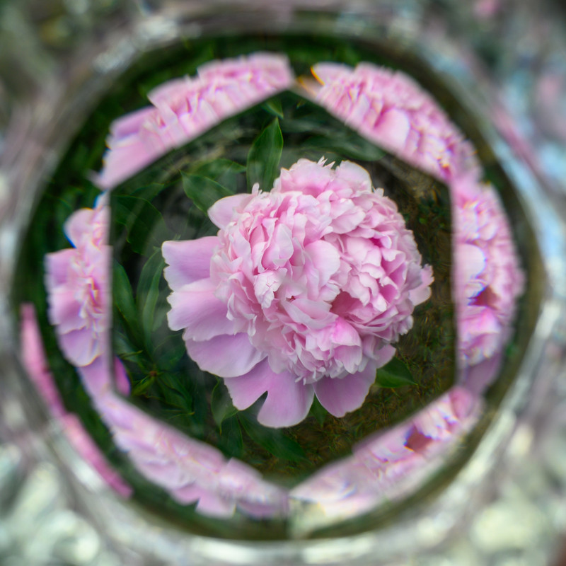 D8539350-6CCE-4EC2-B1B5-BDA0C0F64364