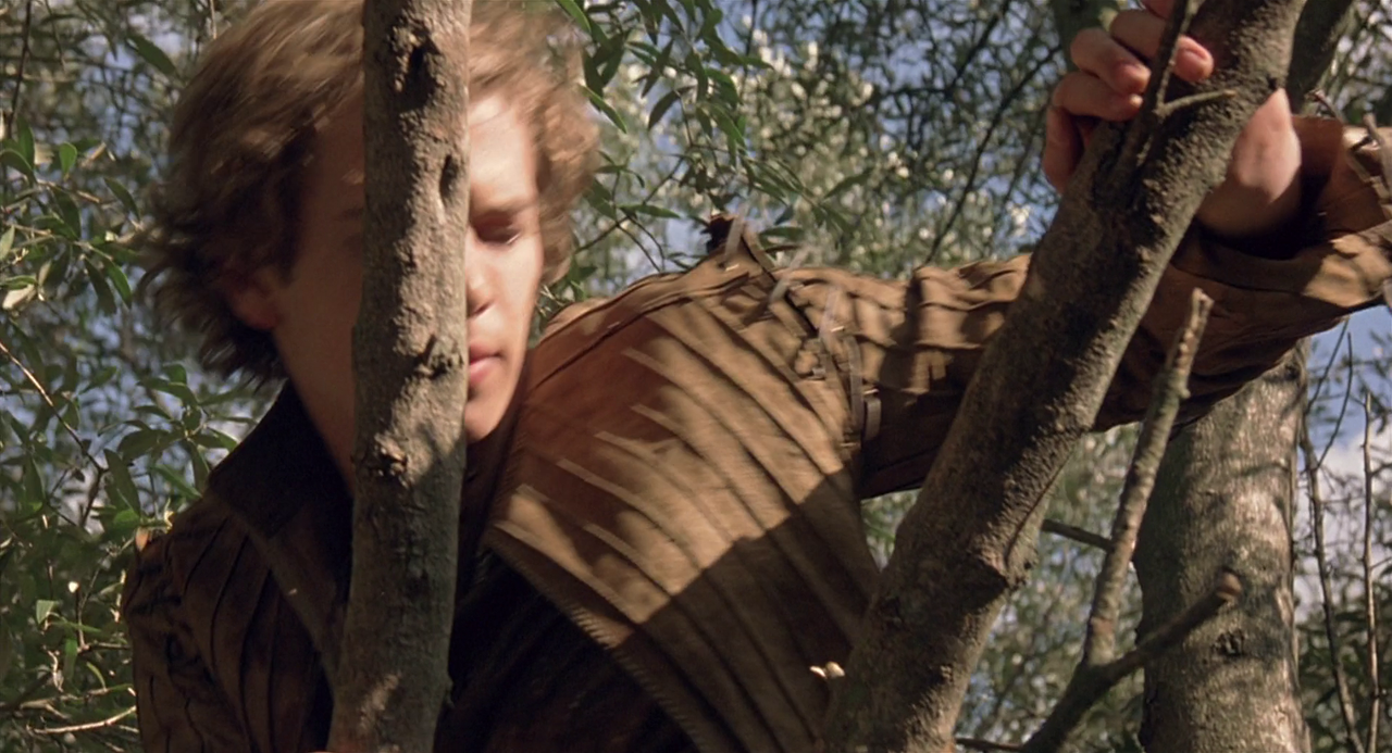 vlcsnap-2024-02-28-12h18m04s034