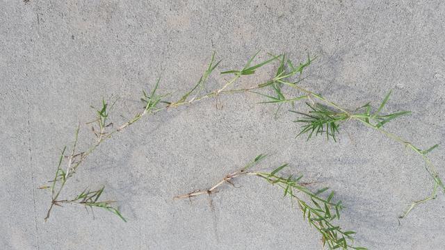 z20180816_172308_resized