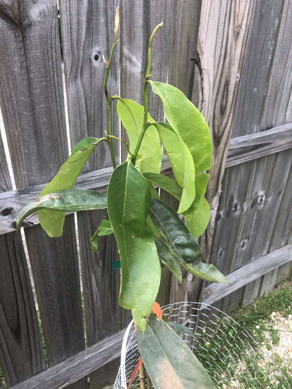 8F8F6AC5-1172-409D-8146-D29D215642D9