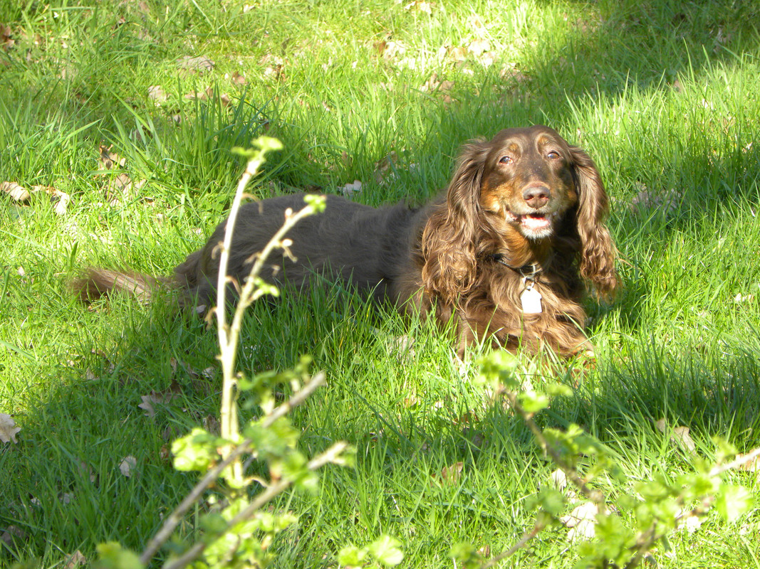 [Image: DSCN9394.jpg]