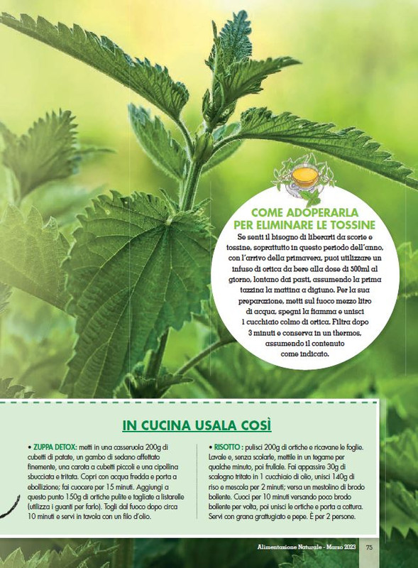 Alim Nat Mar 2023 (12)