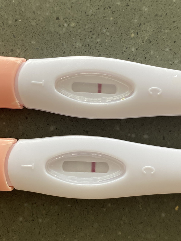 45D6276C-AEE0-4DBE-B59B-1BEBA8BE49DB