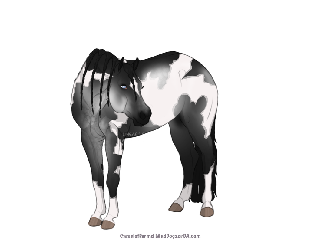 6-FF8415-F-0578-49-F5-8-D5-A-B003-FC86-A52-D.png