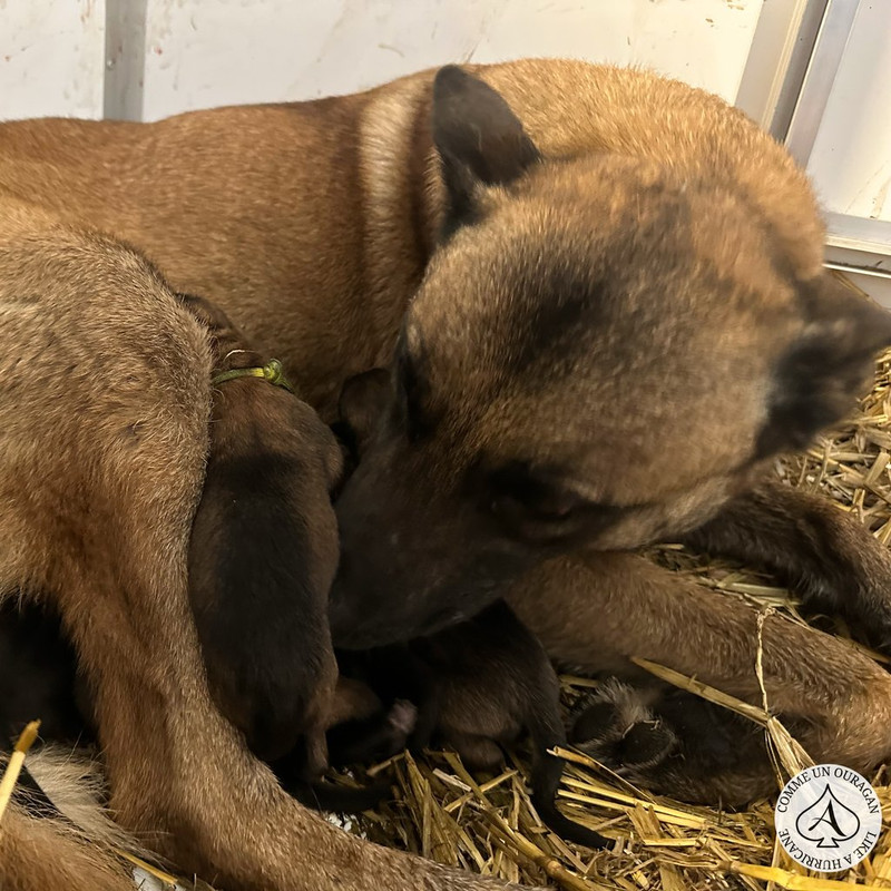 D4D42E95-8B8E-49D6-BC8B-BC1CF549A048