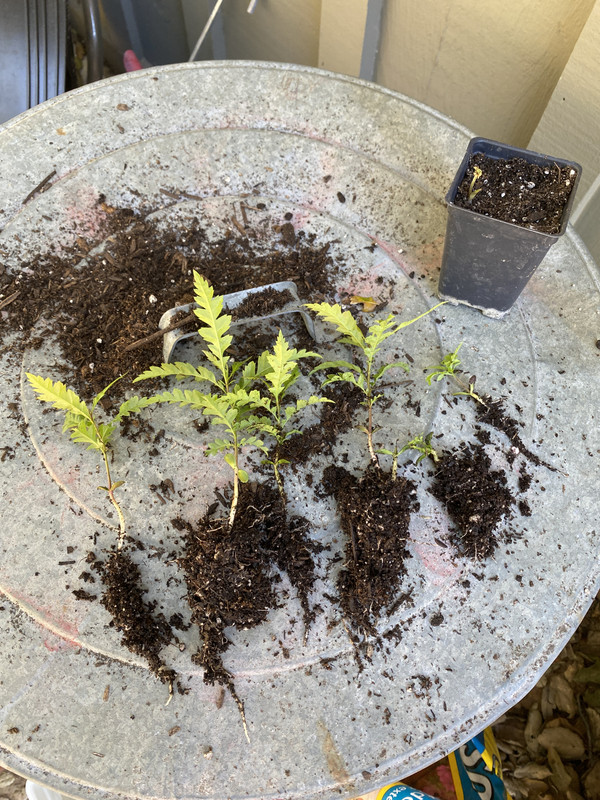 FDE32CF4-8DFC-4444-855C-15302945F88B