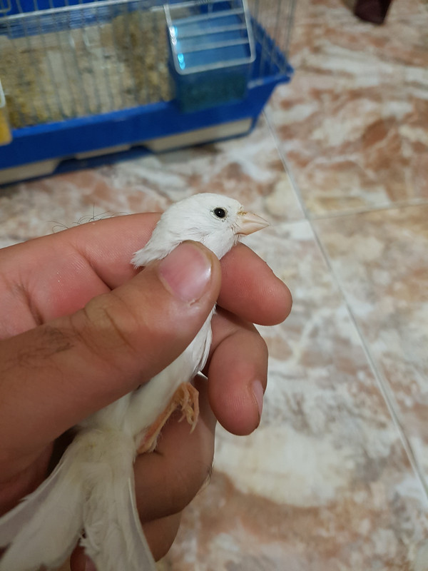 ٢?١٨?٤٢٦_٢١٢٩٣٢