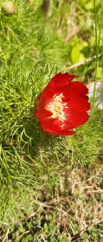 IMG_20210504_135449086_MP