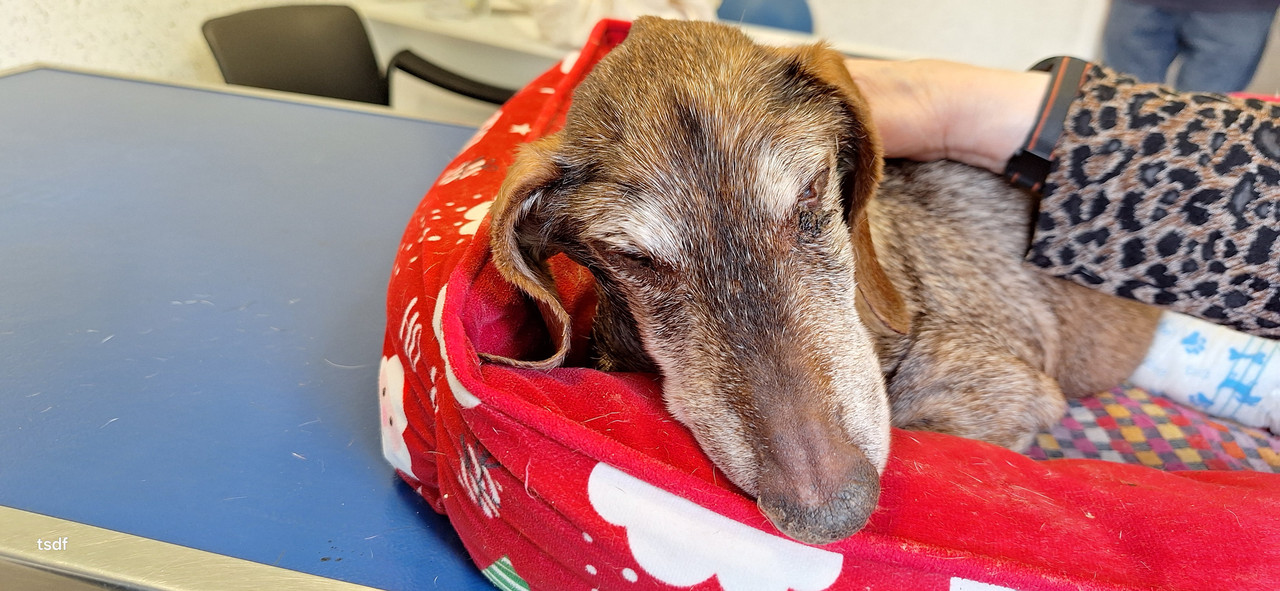 [Image: 20250606-164854.jpg]