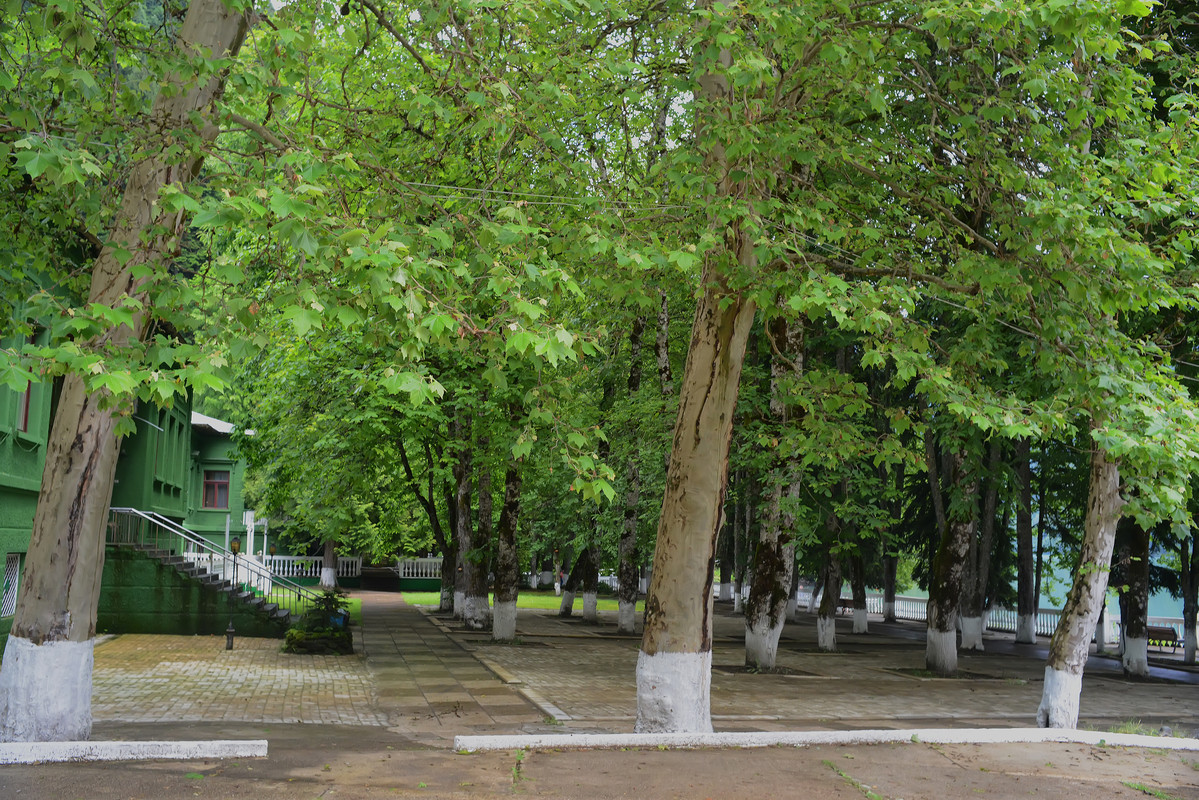 dacha-Stalina-1.jpg