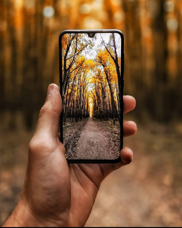 Screenshot_20231207_154441_Instagram