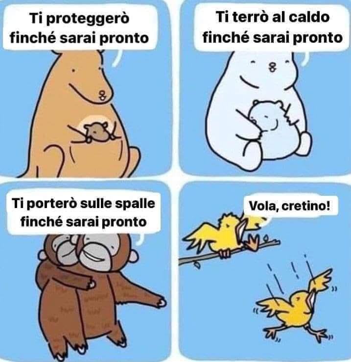 FB_IMG_1747046690379