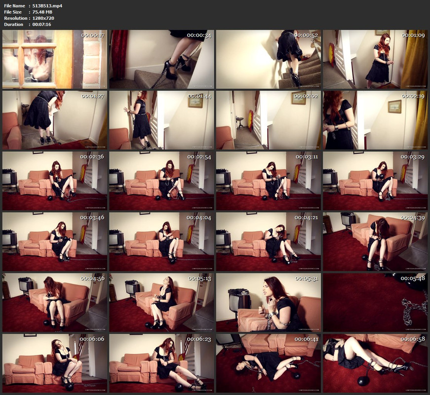 513B513.mp4