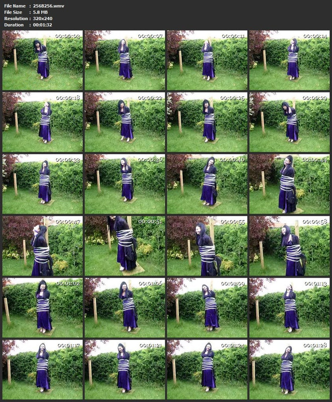 256B256.wmv