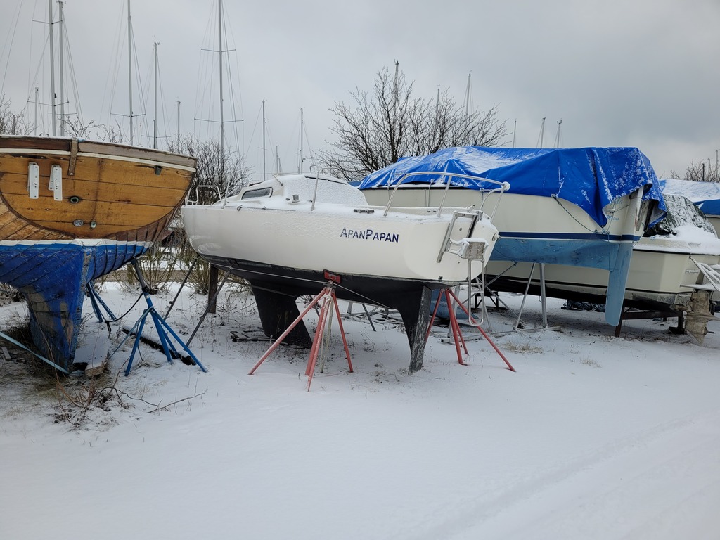 65a7e6c0c1c6452d4634a8d9