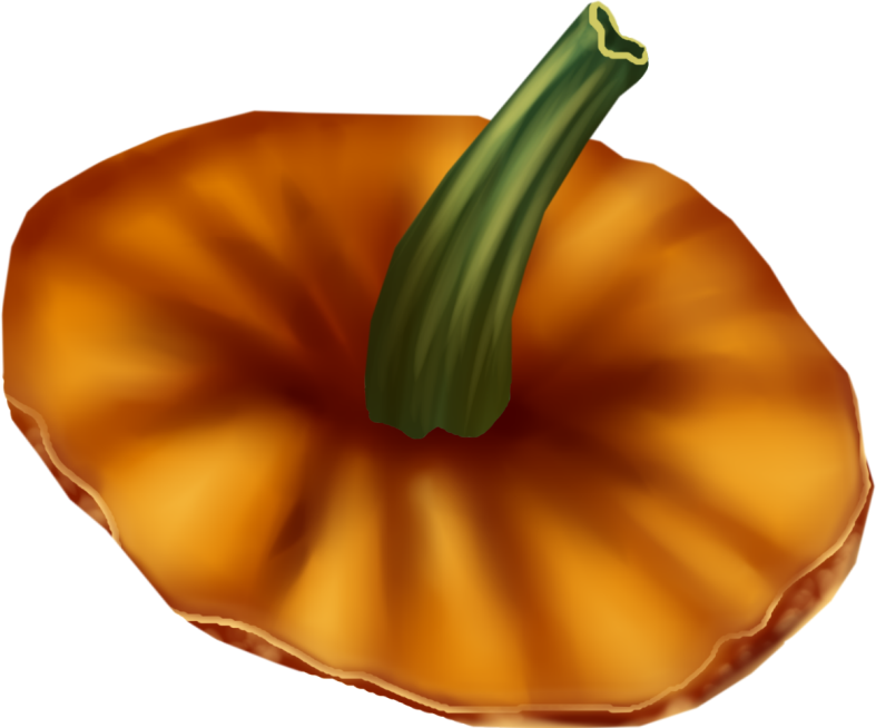 Halloweenpumpkinkitdncover