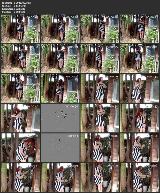 393B393.wmv