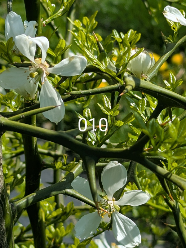 PXL_20250423_193824831~2