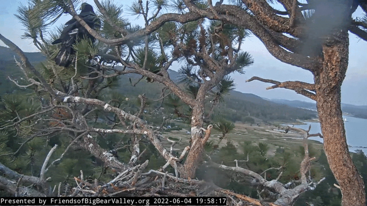 Webp.net-gifmaker (7)