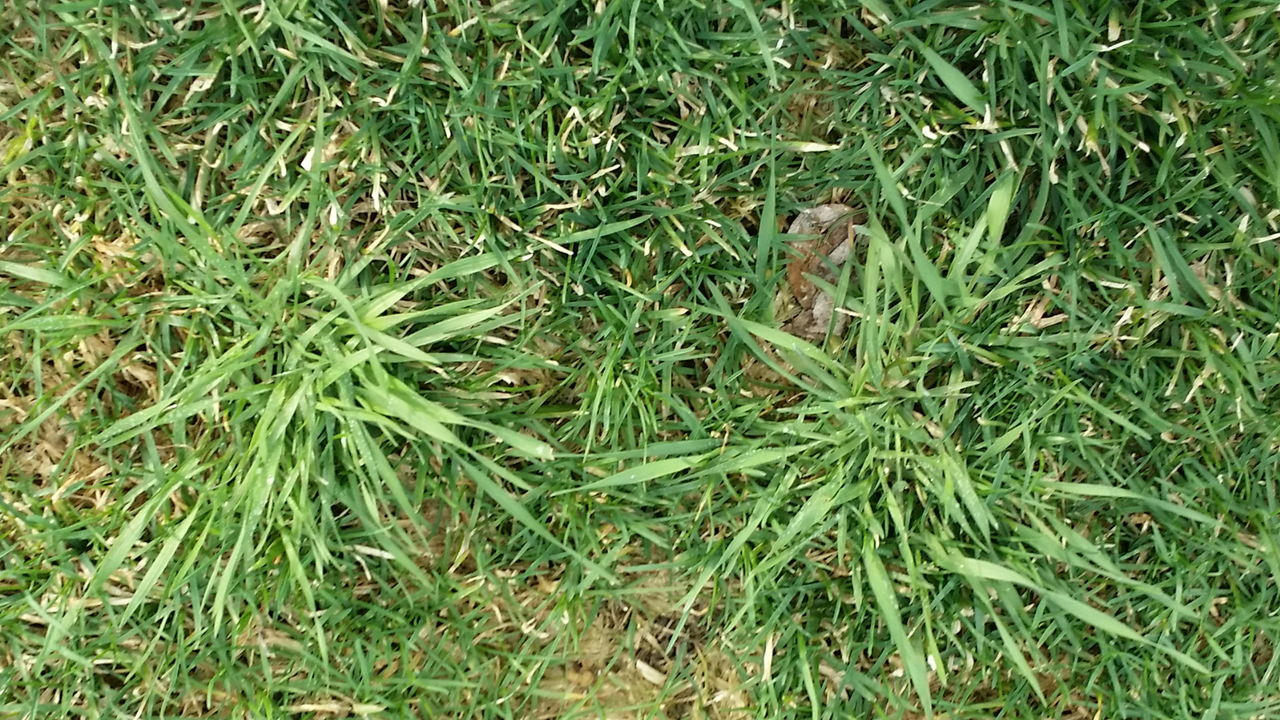 Screenshot_2019-04-01-17-39-27