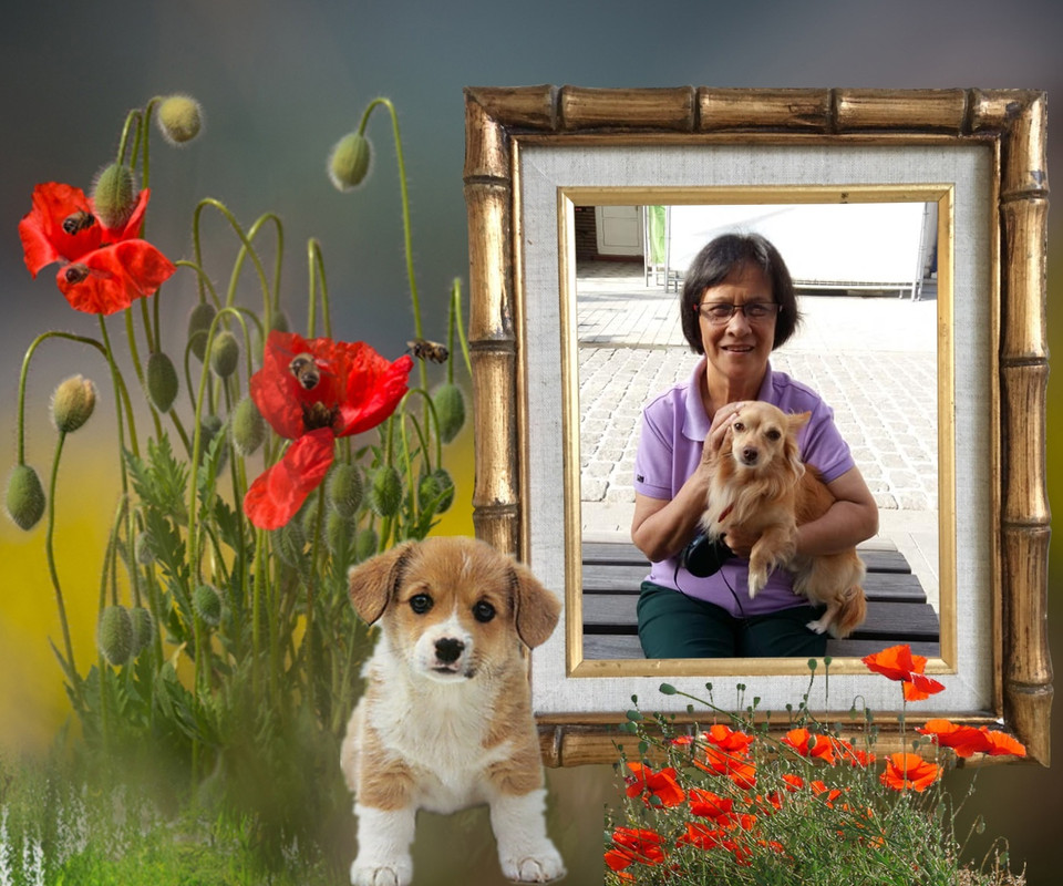 Image and video hosting by TinyPic