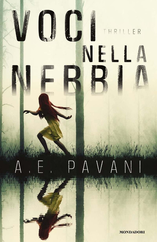 A.E. Pavani - Voci nella nebbia (2020)