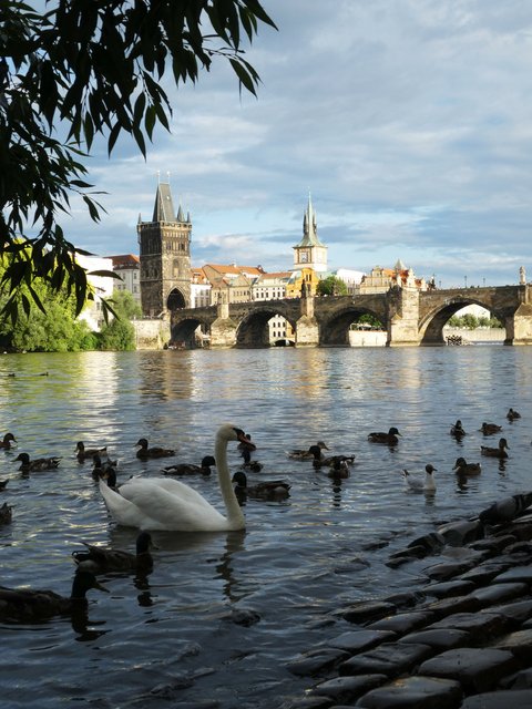 PREPARATIVOS - Praga y Český Krumlov (1)