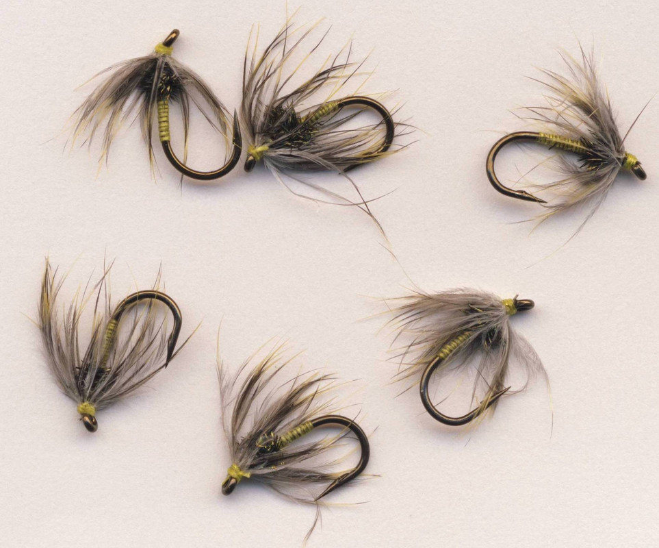 Plover & Yellow Spider