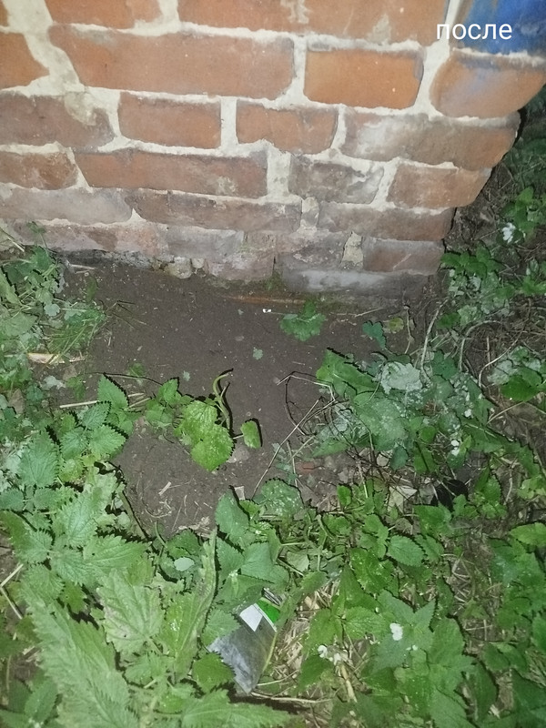 IMG 20251105 060050