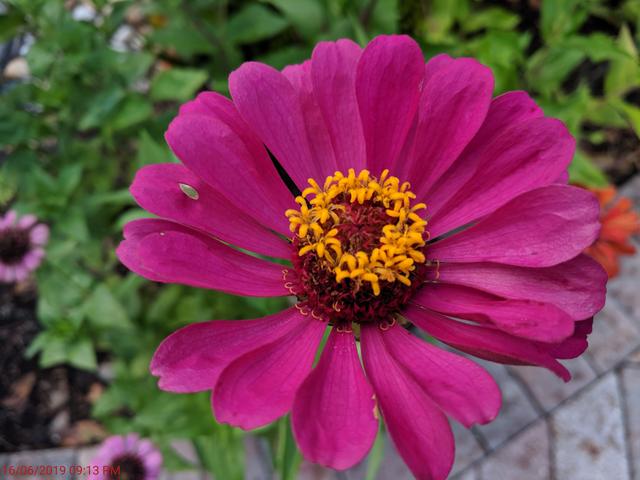 [Image: IMG-20190616-201115.jpg]