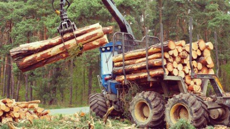 Forestry 4.0 - The Forestry Industry in Industry 4.0