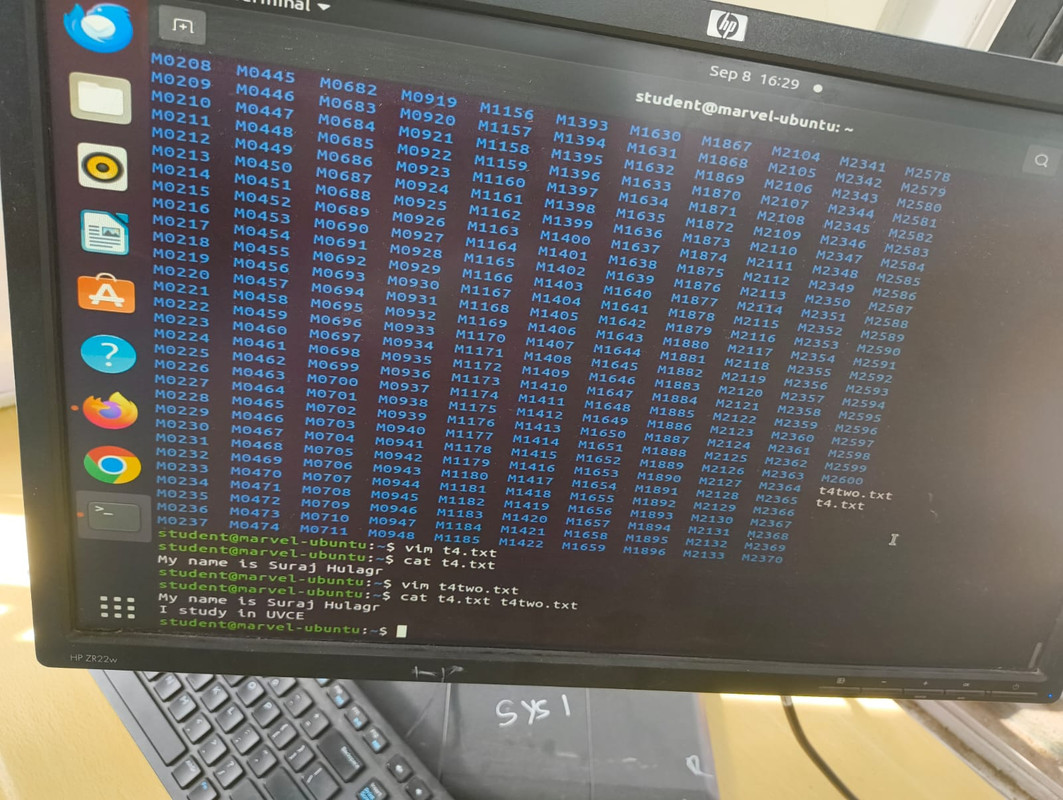 Ubuntu Terminal 2