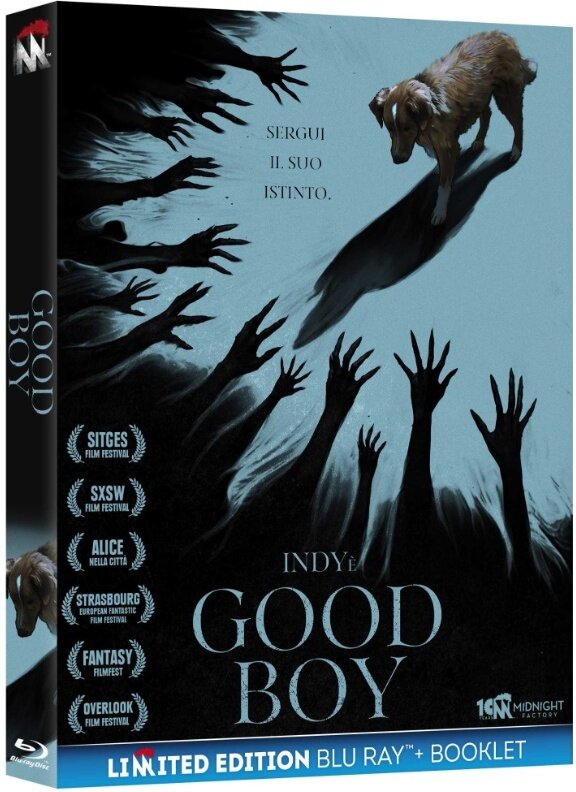 Good Boy (2025) FullHD 1080p Video Untouched ITA E-AC3 ENG DTS HD MA+AC3 Subs