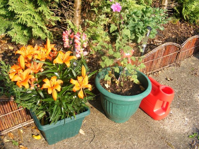 DSCF0006-jpg-original.jpg