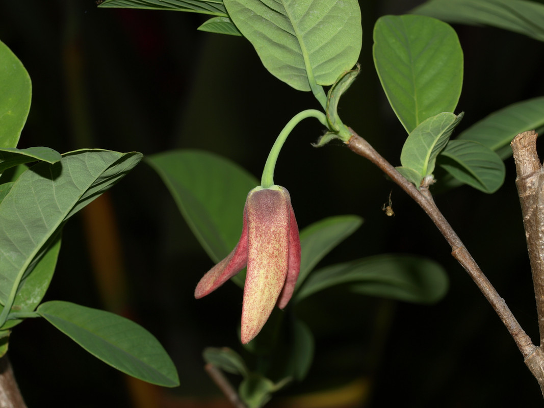 P1016538