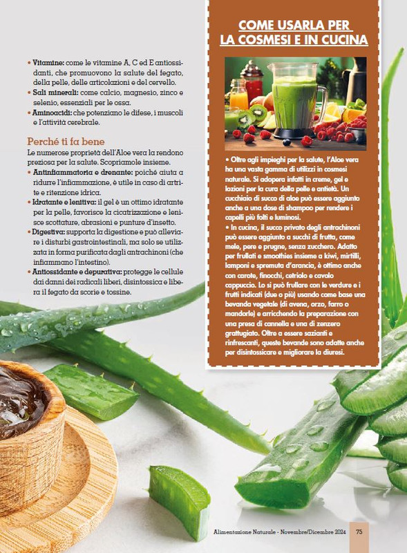 Alim Nat Nov-Dic 2024 (12)