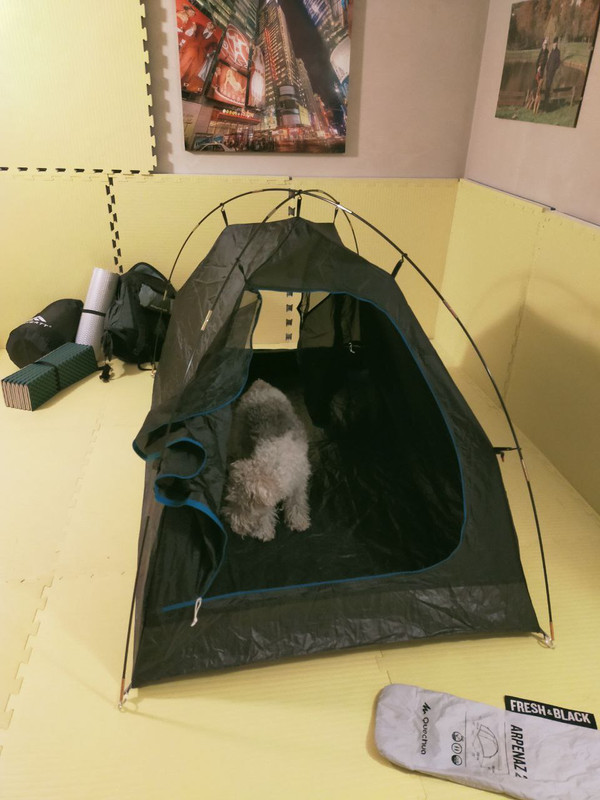 4706A20C-640F-46AE-B126-91EF88B721B2