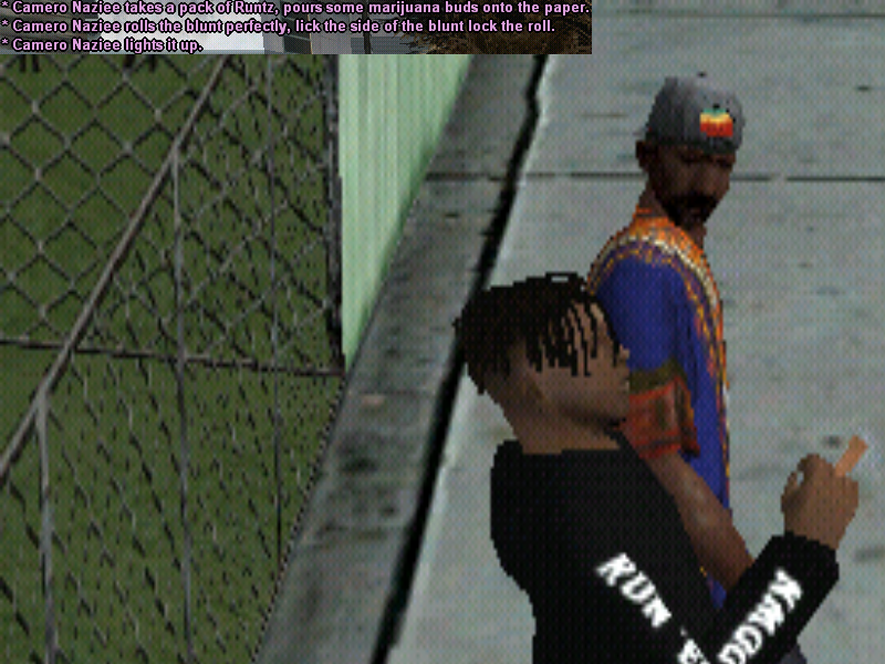 ss1.png