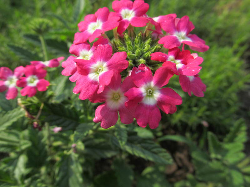 032
