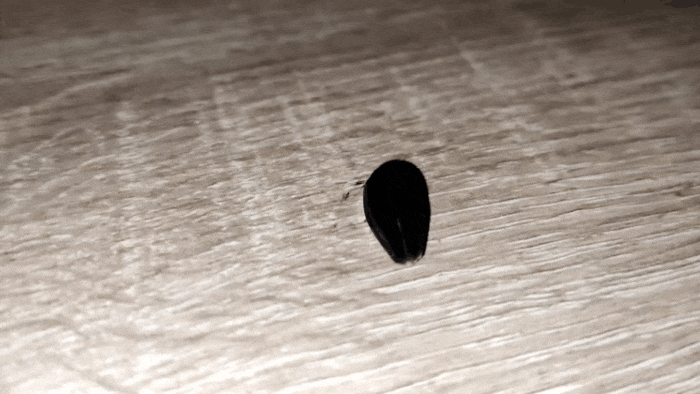 GIF-20250621-190922-755.gif